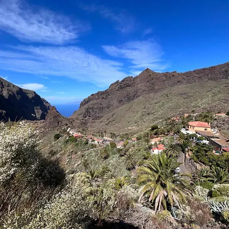 Picachos, Poris De Abona *