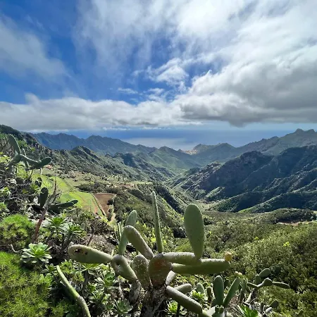Picachos, Poris De Abona * Santa Cruz de Tenerife