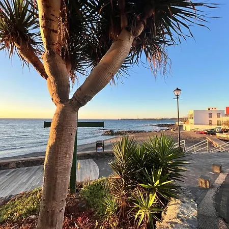 Picachos, Poris De Abona Santa Cruz de Tenerife