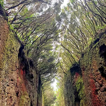 Daire Picachos, Poris De Abona *