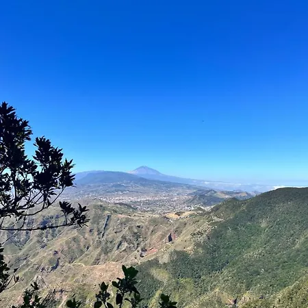 Picachos, Poris De Abona