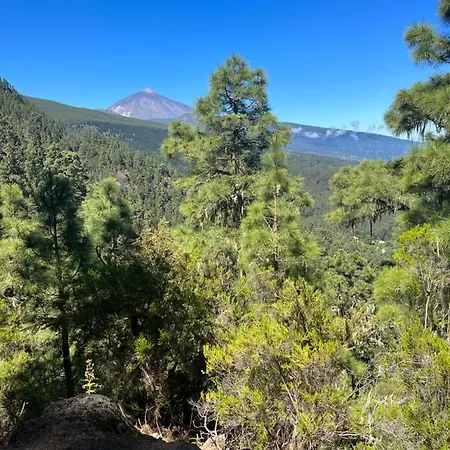 Picachos, Poris De Abona * Santa Cruz de Tenerife