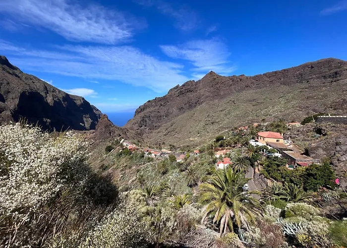 Picachos, Poris De Abona *