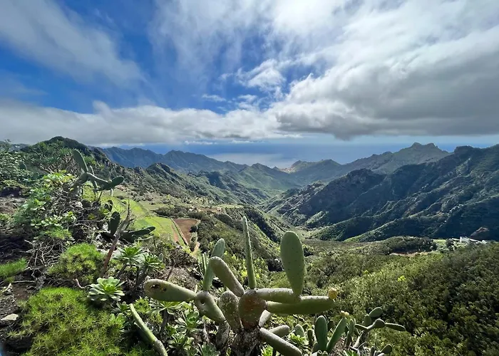 Picachos, Poris De Abona * 圣克鲁斯-德特内里费