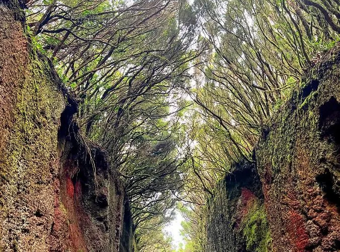 公寓 Picachos, Poris De Abona *