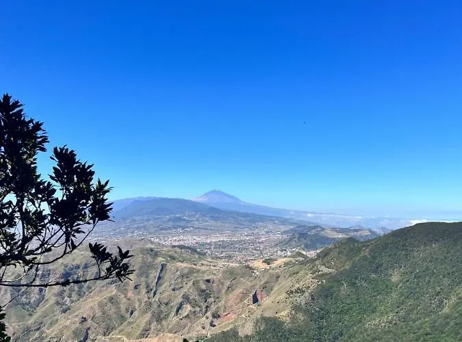 Picachos, Poris De Abona