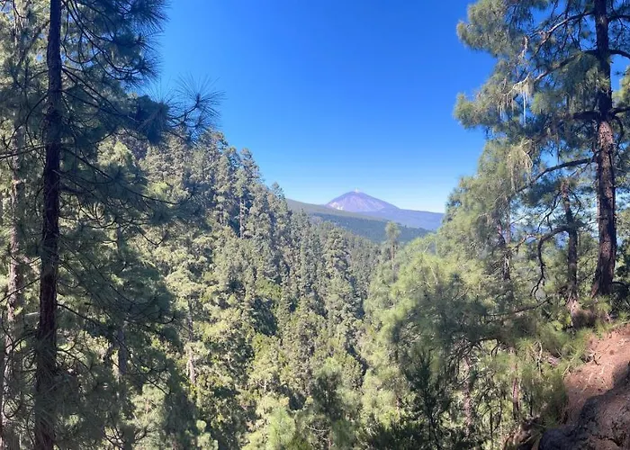 Picachos, Poris De Abona شقة