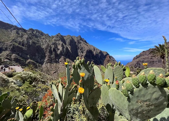 Picachos, Poris De Abona 公寓 *