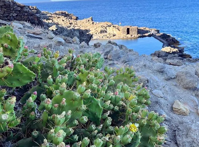 Picachos, Poris De Abona 公寓 *