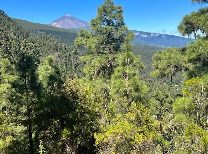 Picachos, Poris De Abona * 圣克鲁斯-德特内里费